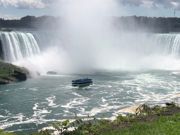 949781E4-F1B4-4F34-8CBA-B492FE742FDD