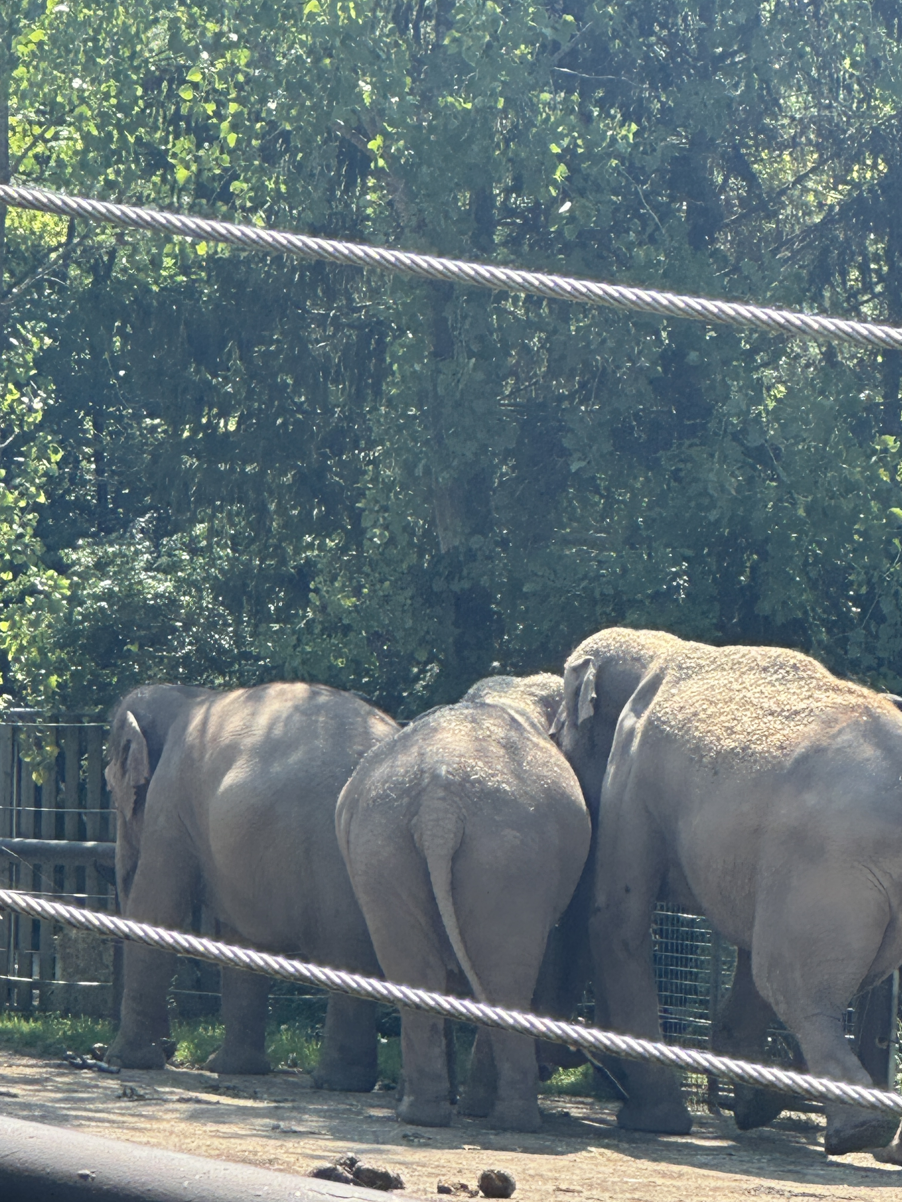 A46F825A-FB95-4A11-B944-C80B998FF7A2