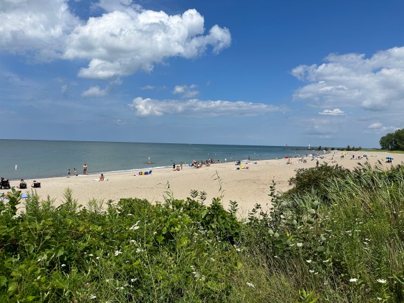 BB18A7F5-15B2-4C98-9A6F-A84E4117F76B