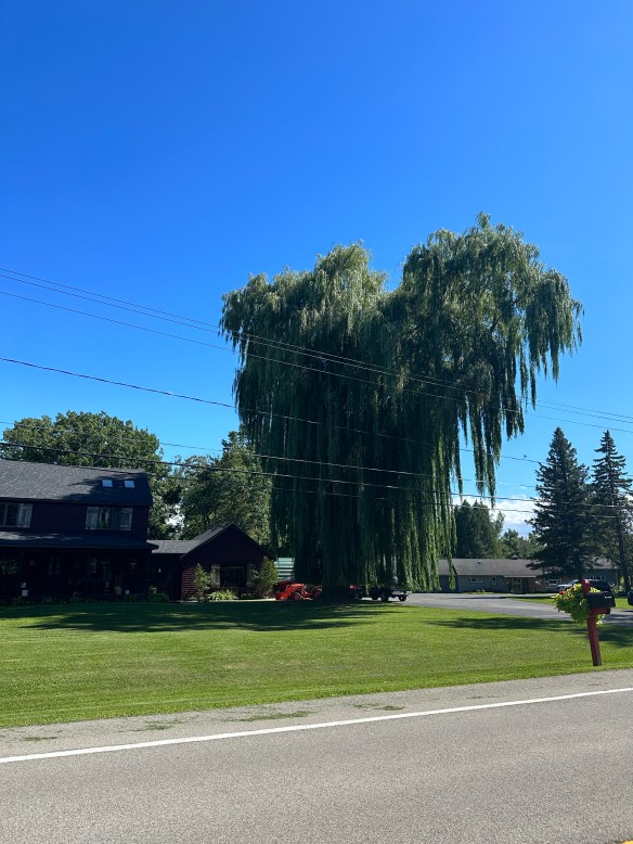 C52522D3-44E2-4C9A-BAB2-8A5801D42E7F