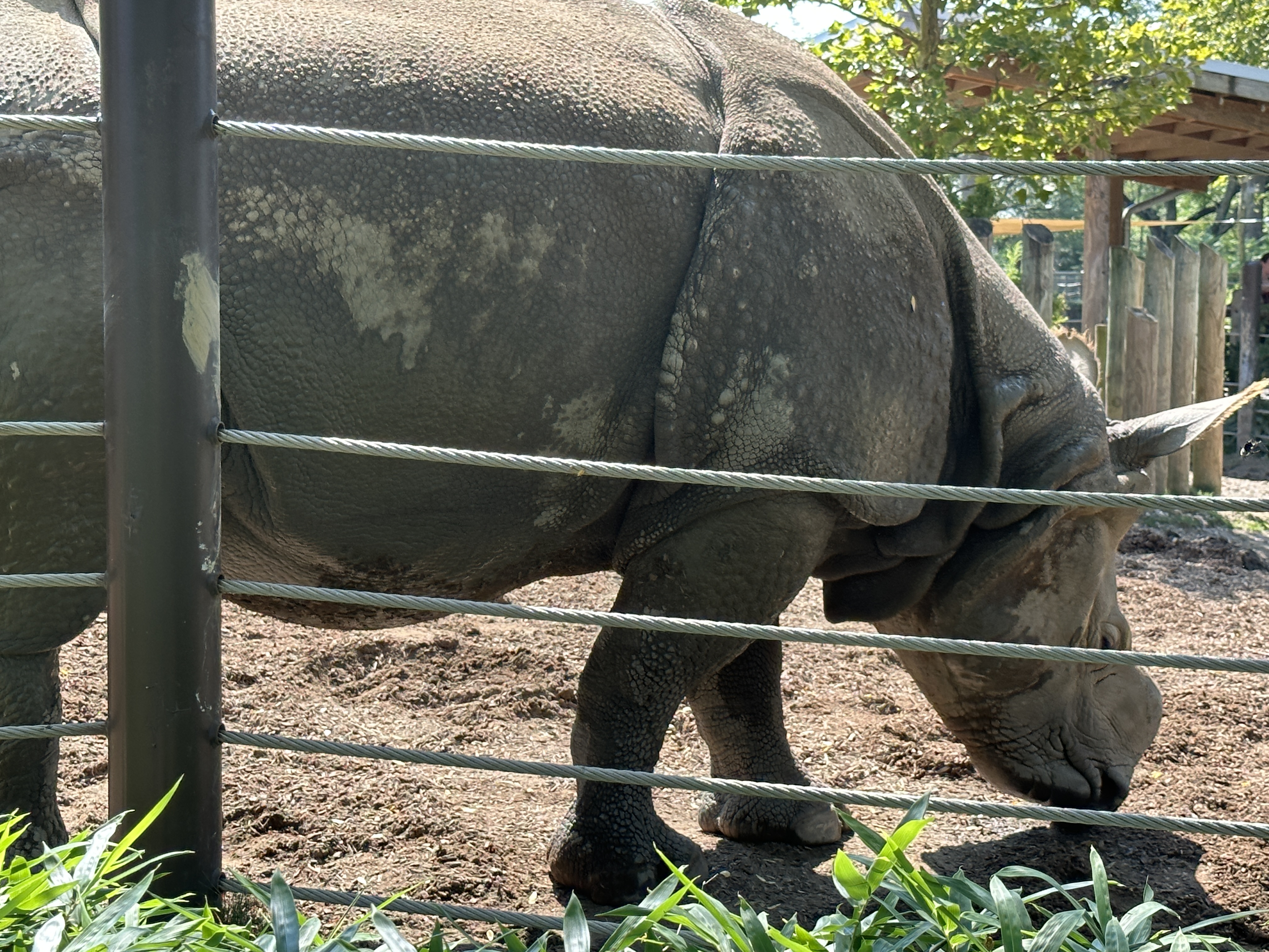 E705820B-2651-4C08-957D-3D70825BFB8D