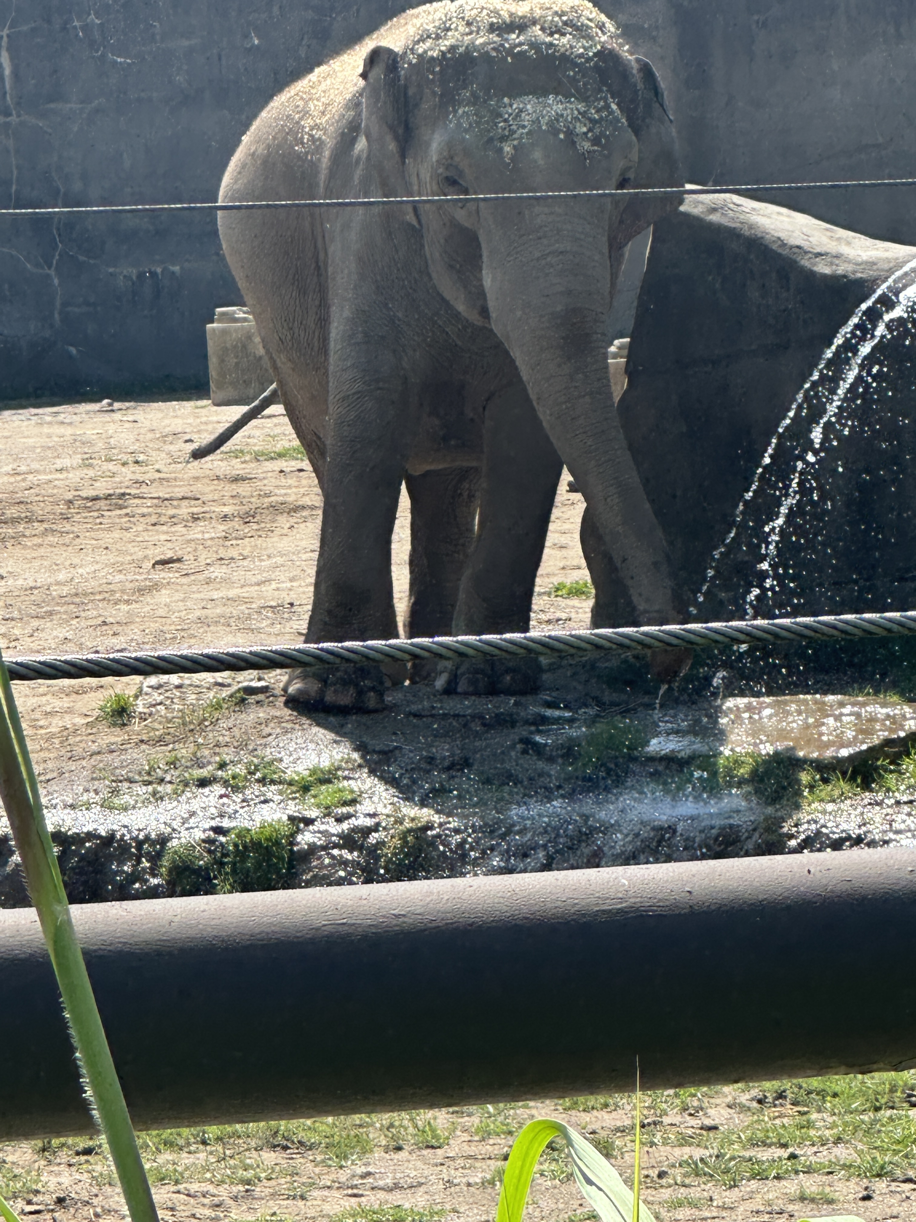 EF1E45DB-6B11-4D9F-8993-10BF7F078A4F