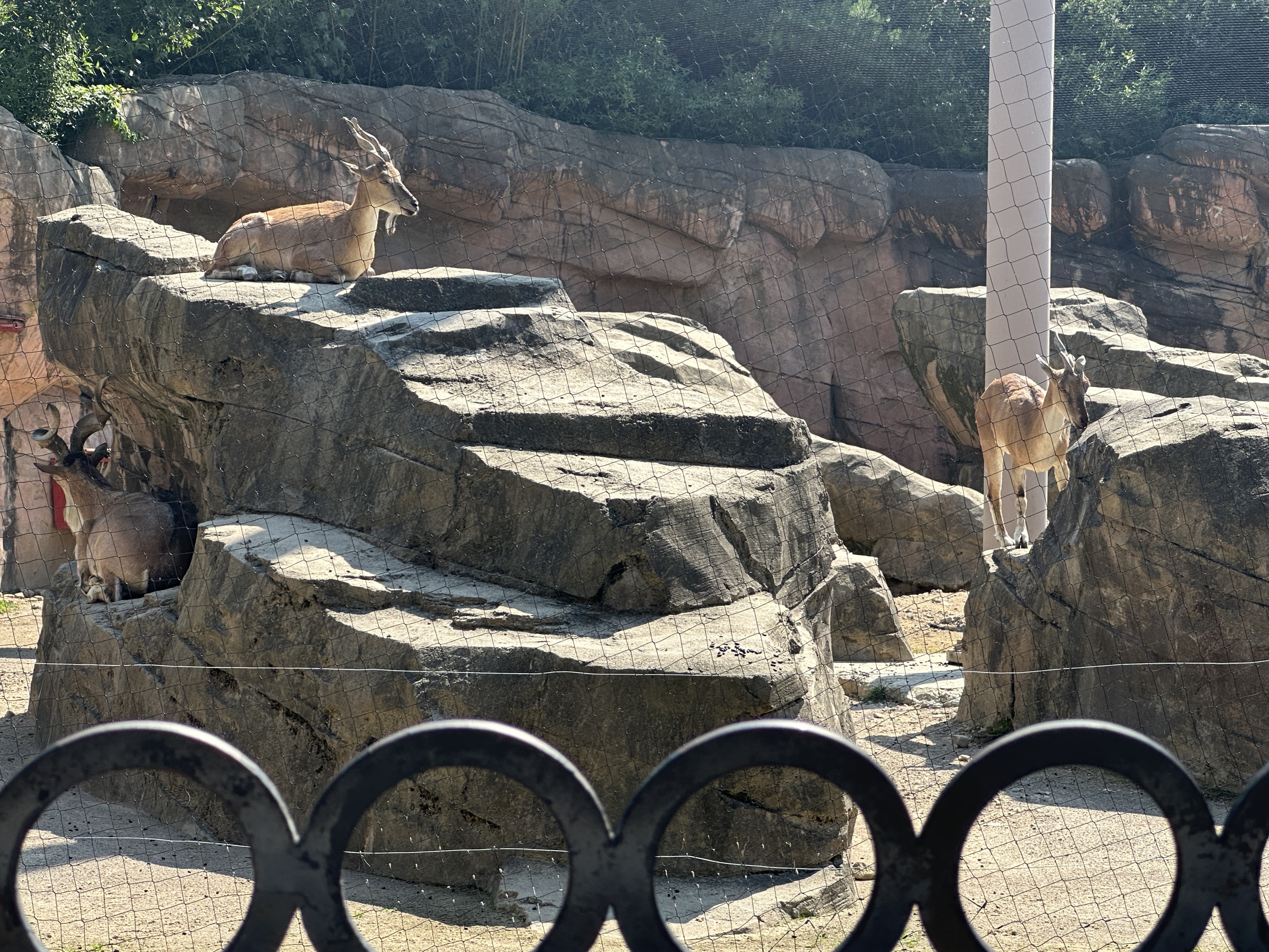 F818EA1C-BFD4-4489-96C4-B32C675B19AE