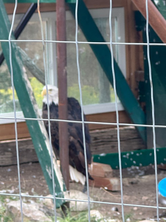 01C3D138-BB88-4B9B-B6AA-046B02711817