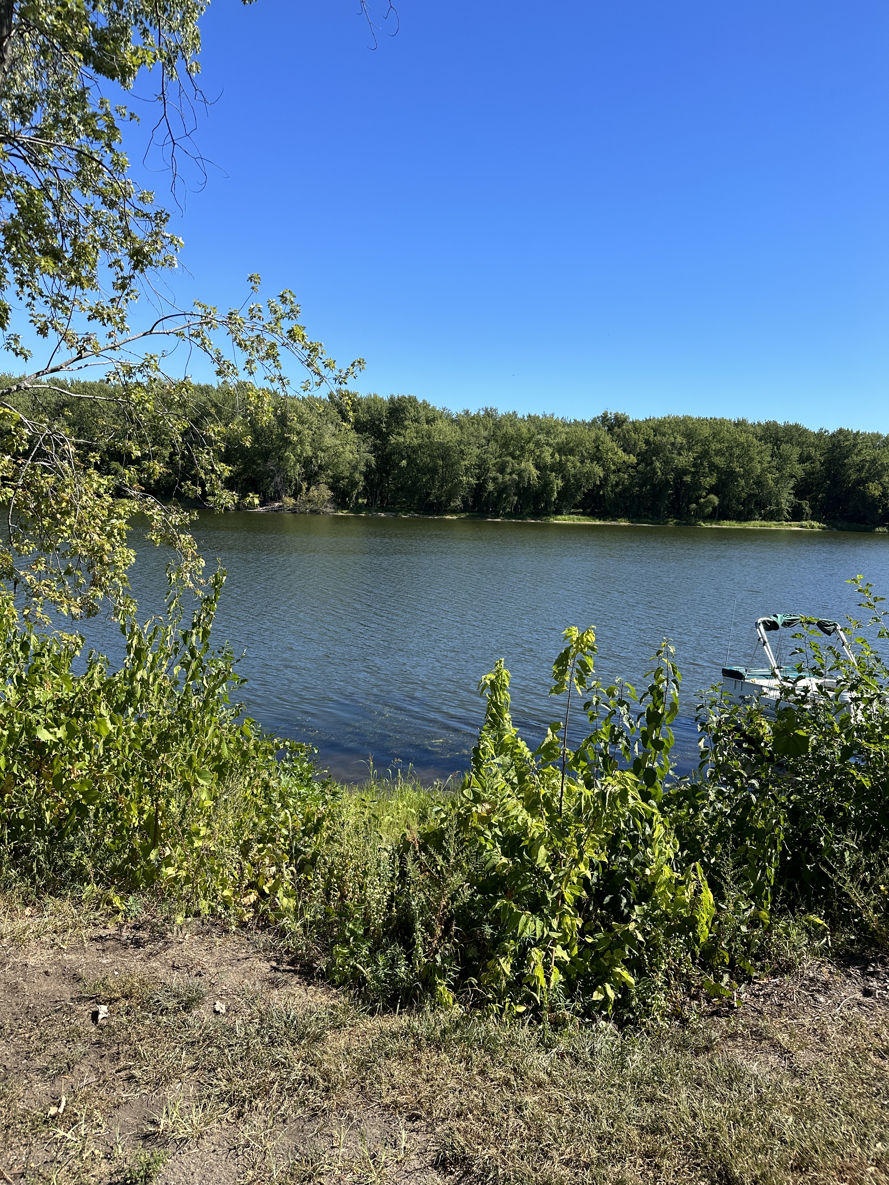 14A7F906-A97E-4B2A-A02F-BDC7A1E48371