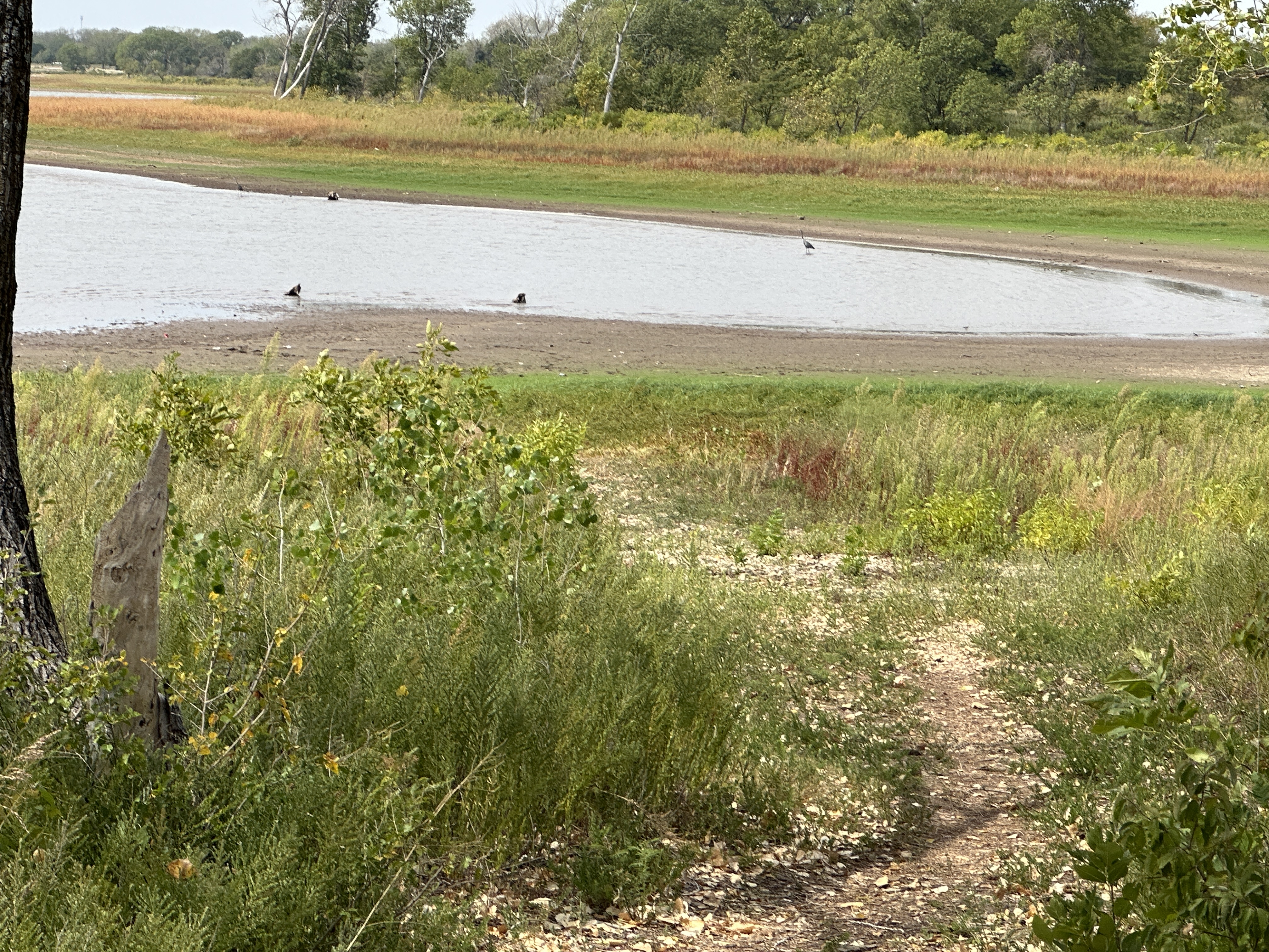 1B28E395-E3C6-4890-8604-4CBD7E838AB8