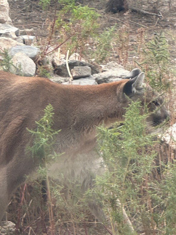 452D3DDC-FDE6-47C0-9687-5D3038759180