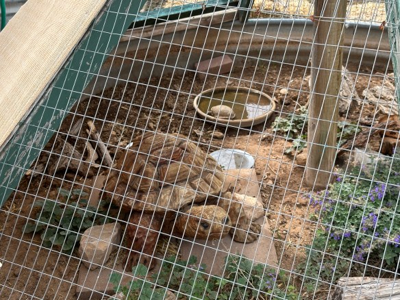 48035EE1-D549-4DA4-932A-84884EDB664F