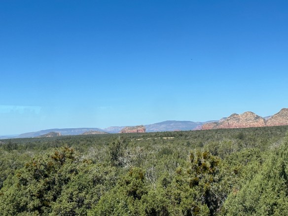 4F443A63-F3D1-4911-951F-409744C81809