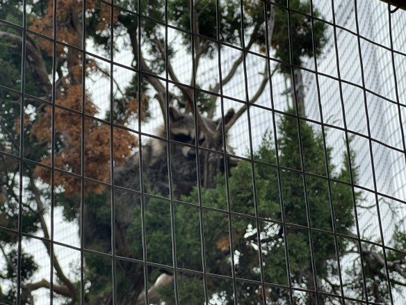 852A80D2-93E0-459E-8EBF-A798755B1FCA