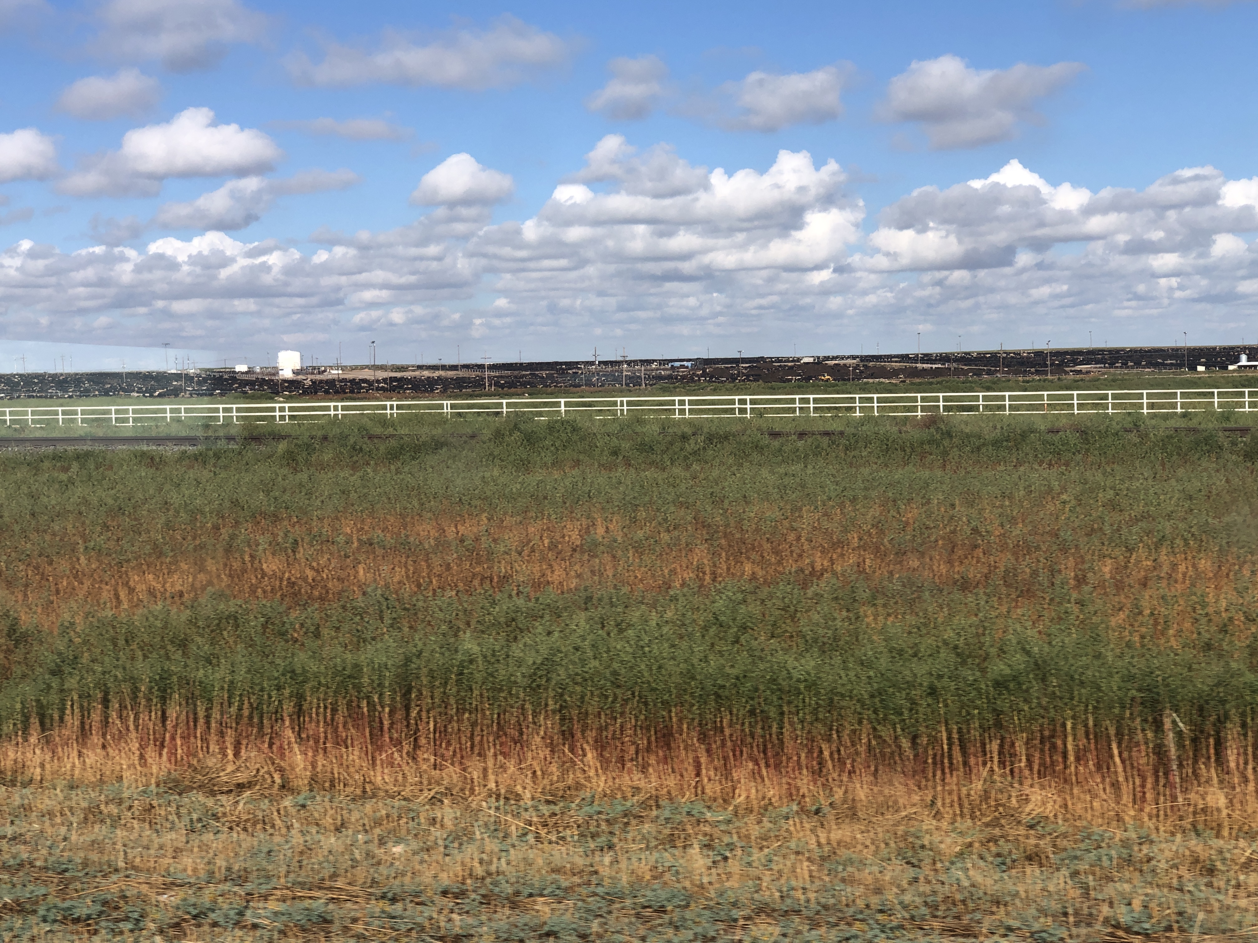 AF6661F0-3028-4AAD-9B0B-8B49B35E7965