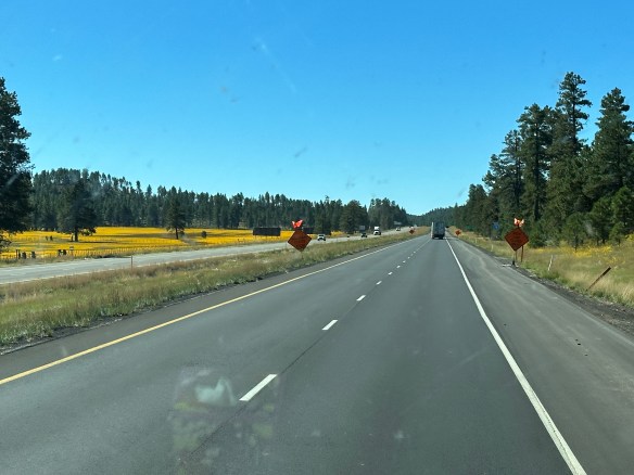 BF03252C-E909-45CA-BE45-982A556EB27E