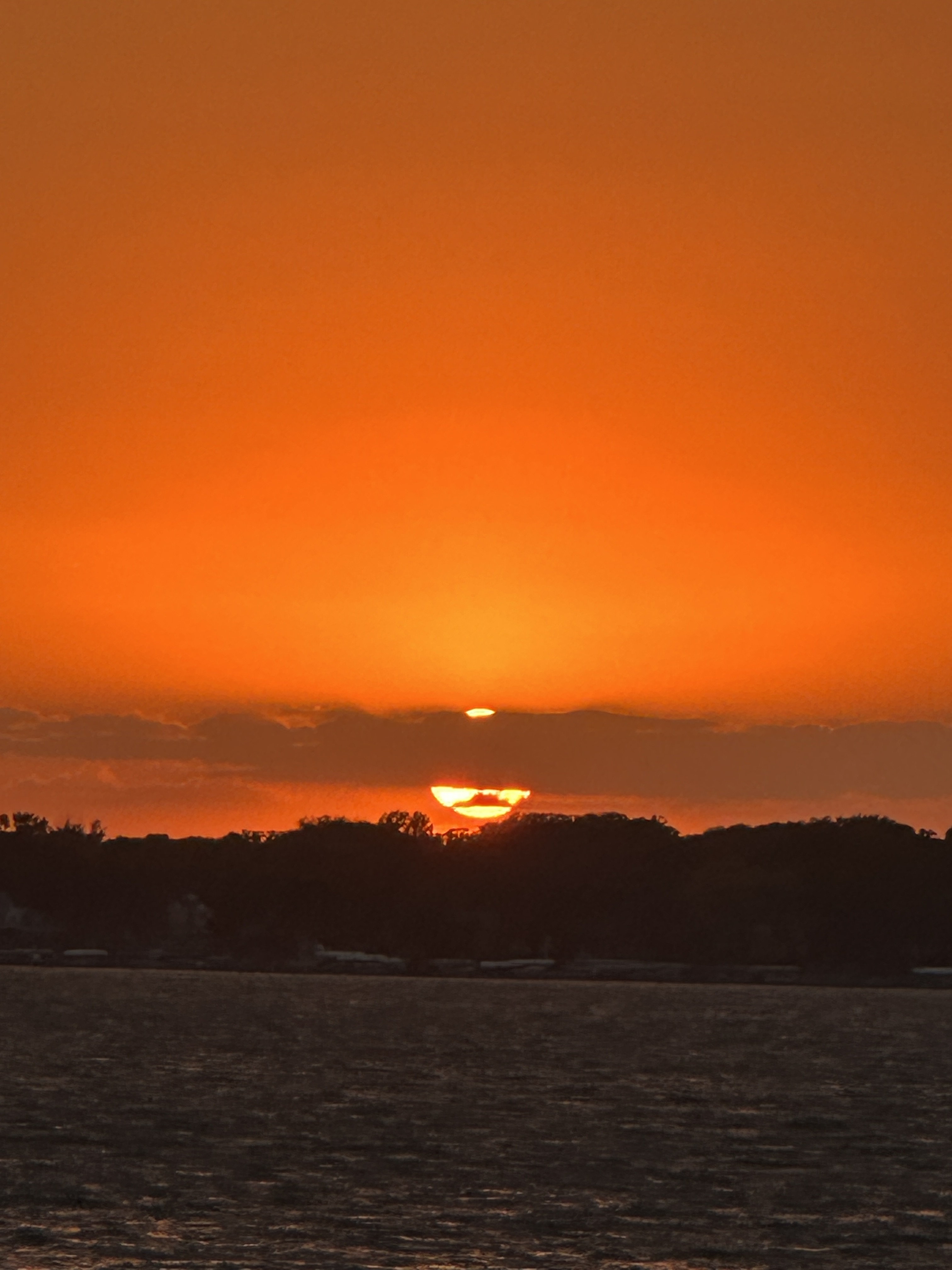 D061157C-0577-48C0-8B3C-738B5224C147