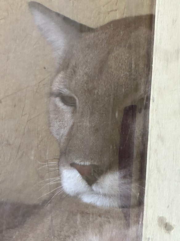 EF10561A-1286-43C1-B916-326A23D0640B